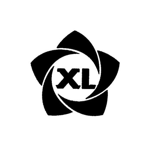 商标名称xl,商标申请人衡阳市鑫励文化发展的商标详情
